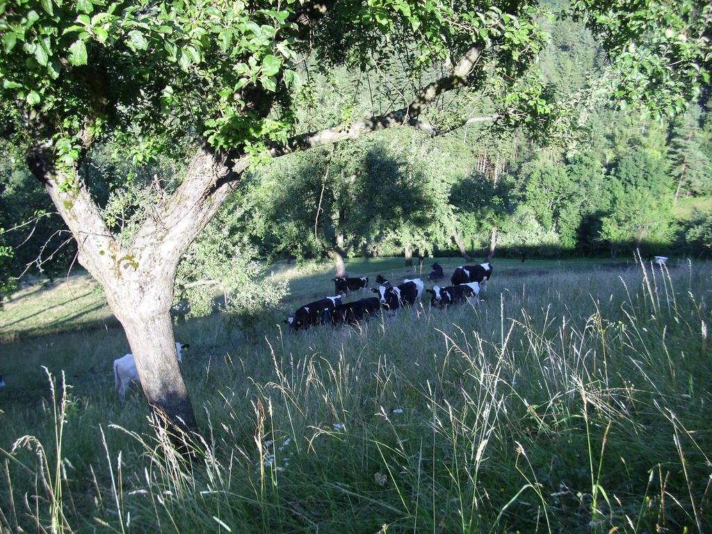 Farm Stay Zagar Mozirje Exterior foto